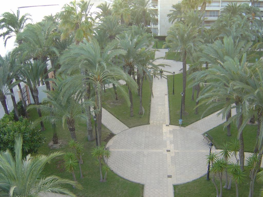 Palmeral De トレビエハ エクステリア 写真